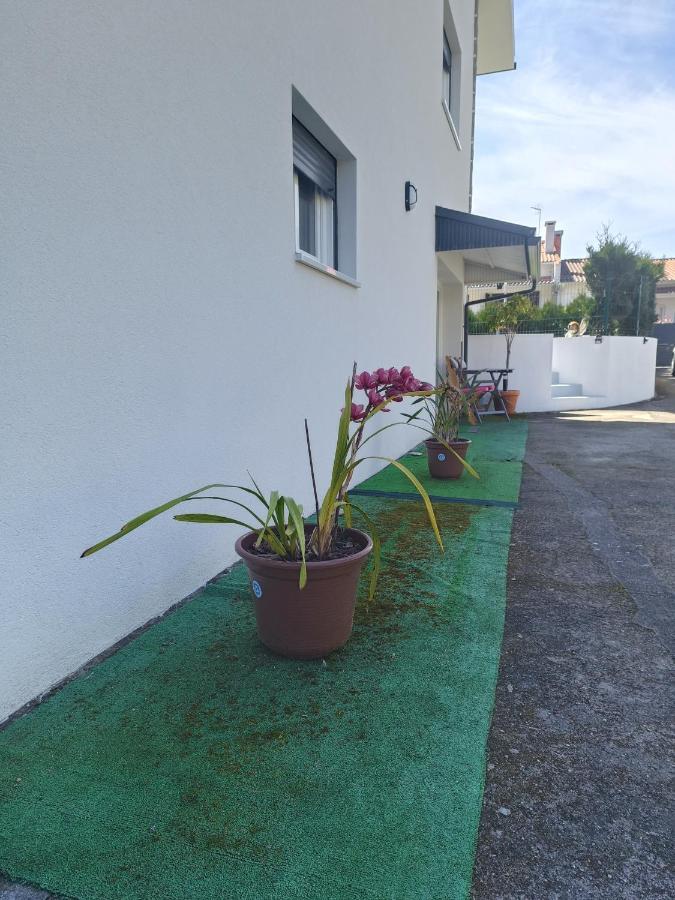Cabedelo Seaside Guesthouse Viana do Castelo Exterior foto